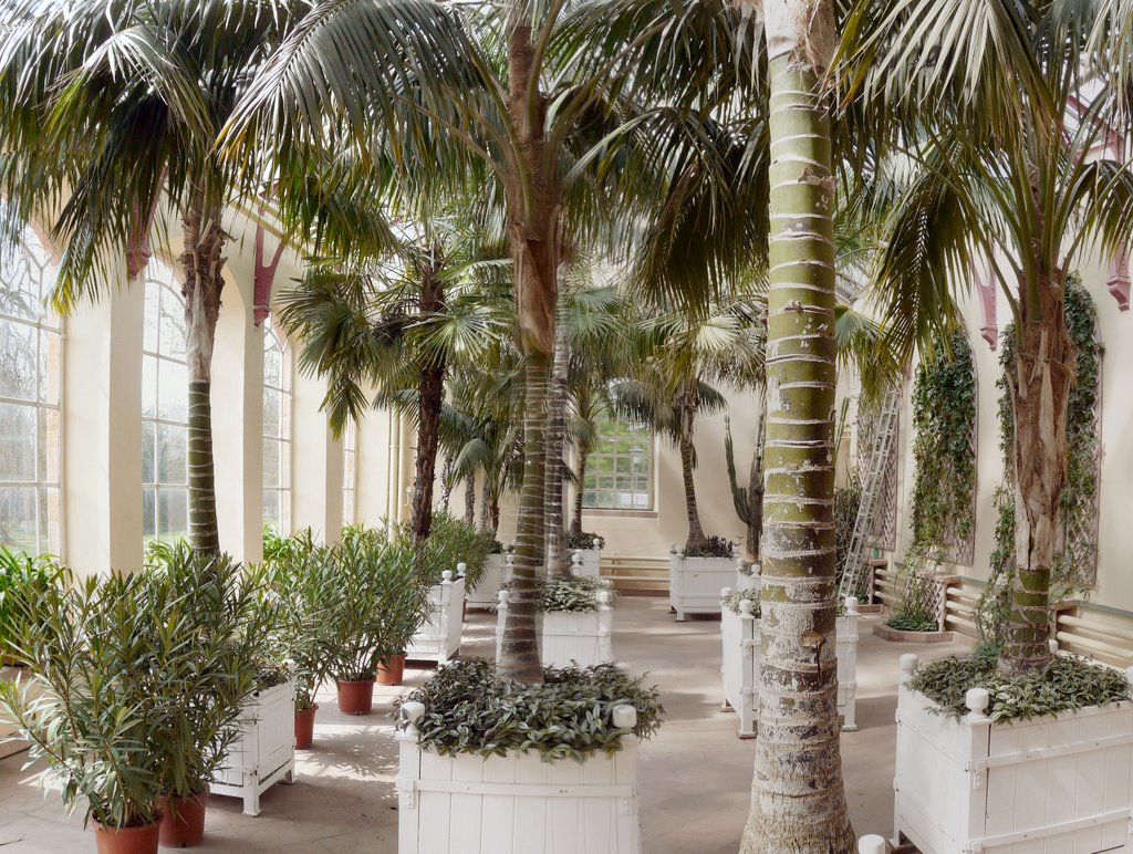 Palm House in Municipa Park, Lahr, Ortenau, Baden-Württemberg, Germany by Patrick Mock