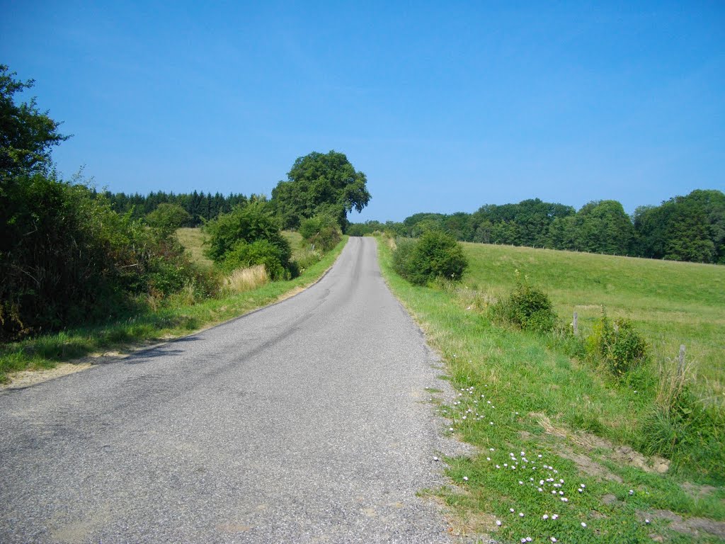 D43 sur Derrière le Fourneau vers Florimont by Claudius B.