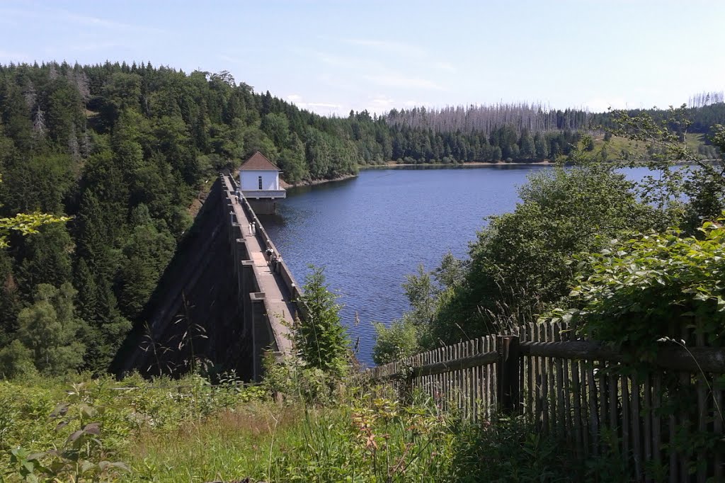 Staumauer der Eckertalsperre by Chris1970