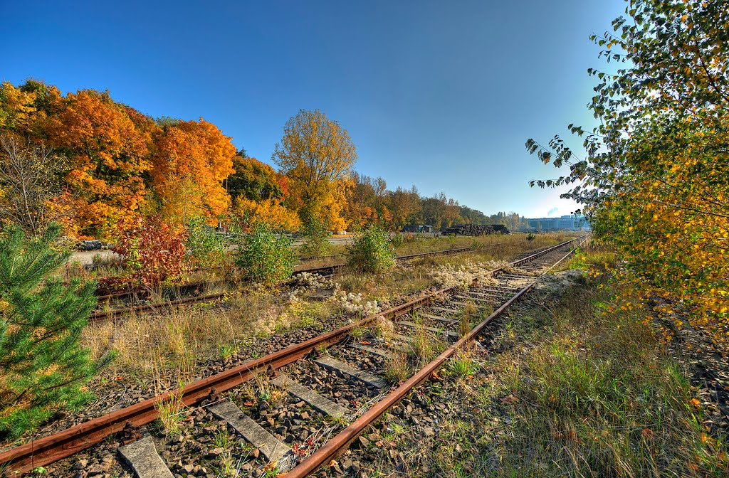 Auf dem ehem. Containerbahnhof by DetKan