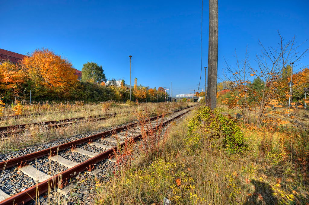 Auf dem ehem. Containerbahnhof by DetKan