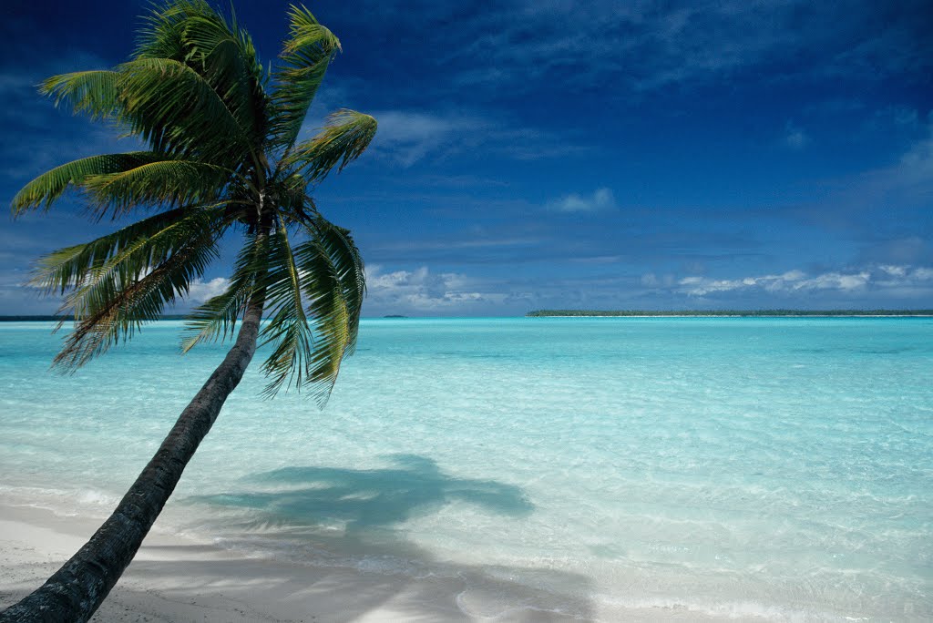 Tetiaroa Motu Onetahi by patrick.olivier thillet