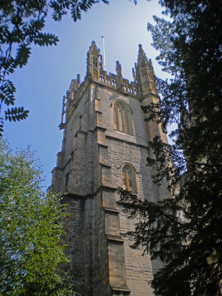 Llandaff by David Owen