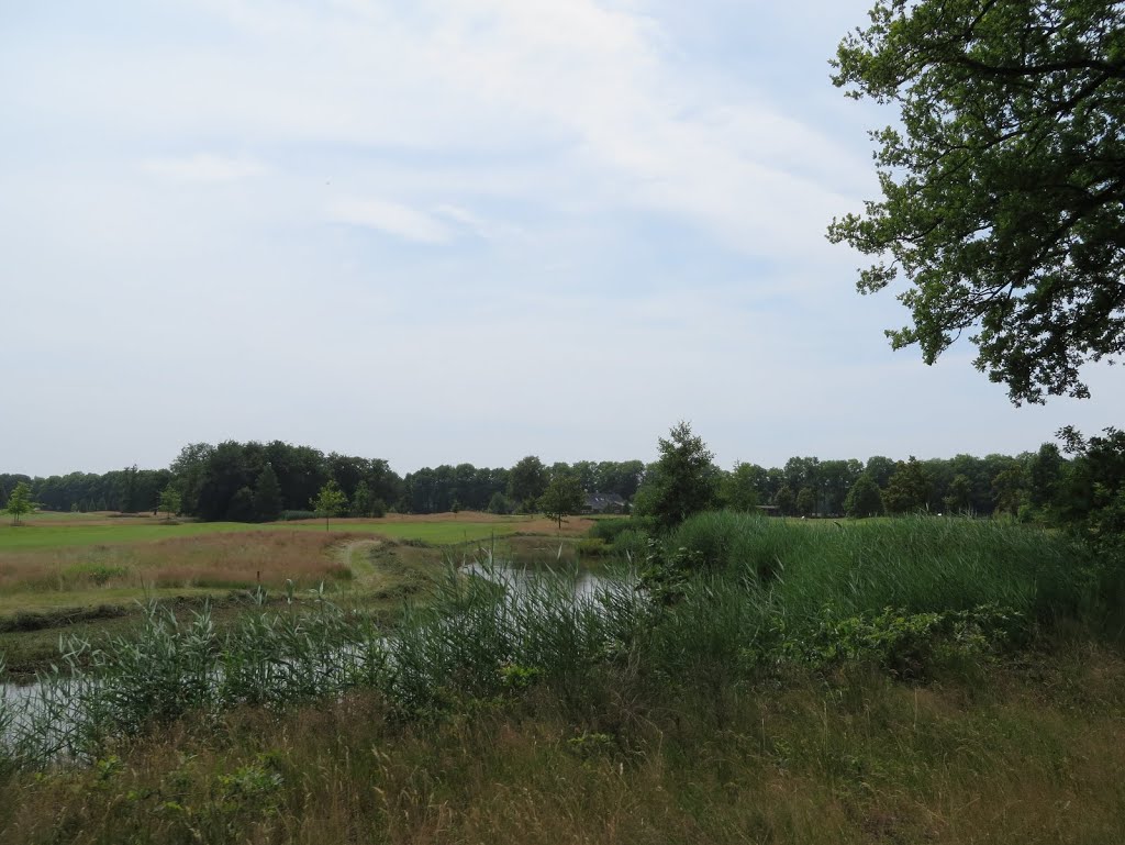 NL - Esbeek - Kinderlaan by Danny Danckaert