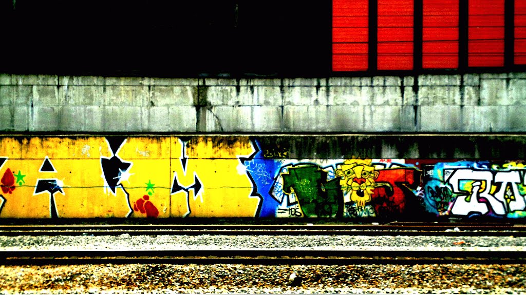 Street Art and Train by Mook's