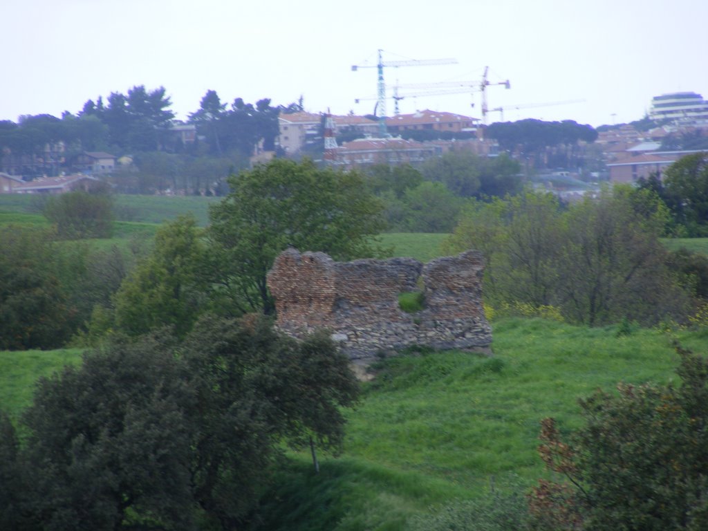 Torre medievale by larth