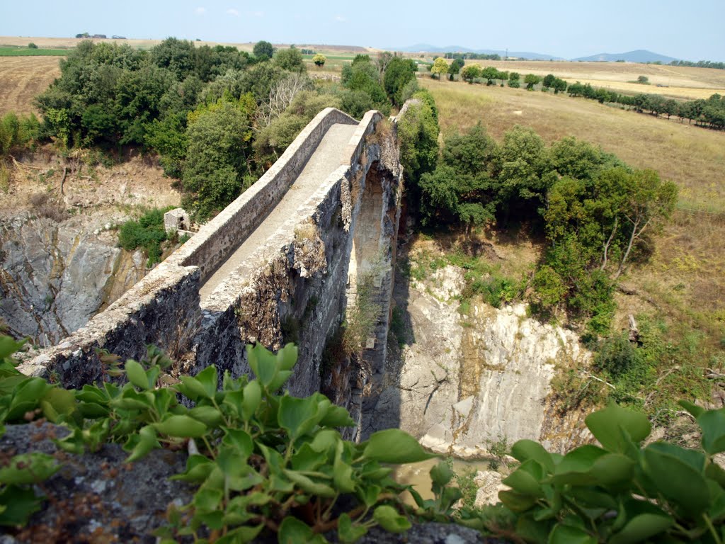 VULCI - PONTE SUL FIORA by MAGOSTROLAGO