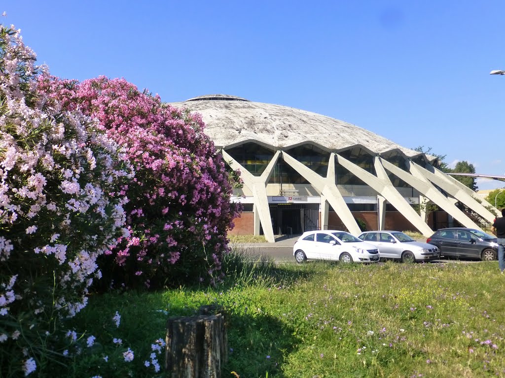 Blomstrende Oleander og Palazzetto Dello Sport by H.Jelstad