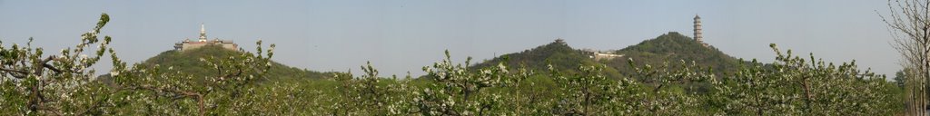 Yuquanshan (Hill of Jade Spring) in Spring by winwave