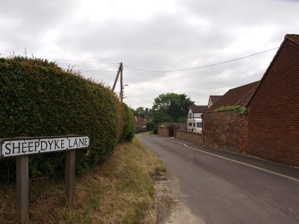 Bonby - Sheepdyke Lane - 11th July 2013 by Hamst