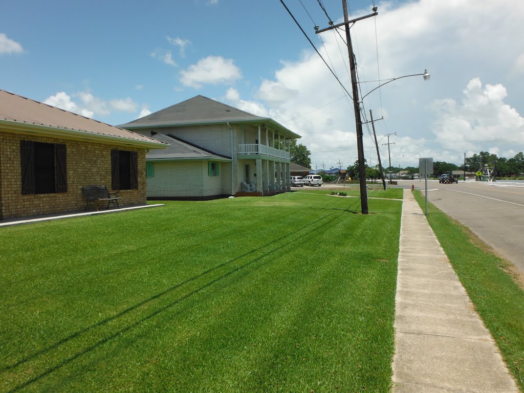 Green grass by the-traveling-cajun