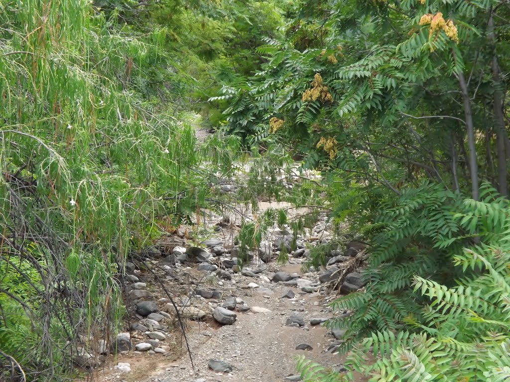 Dry Creek Bed----st by SteveTysinger