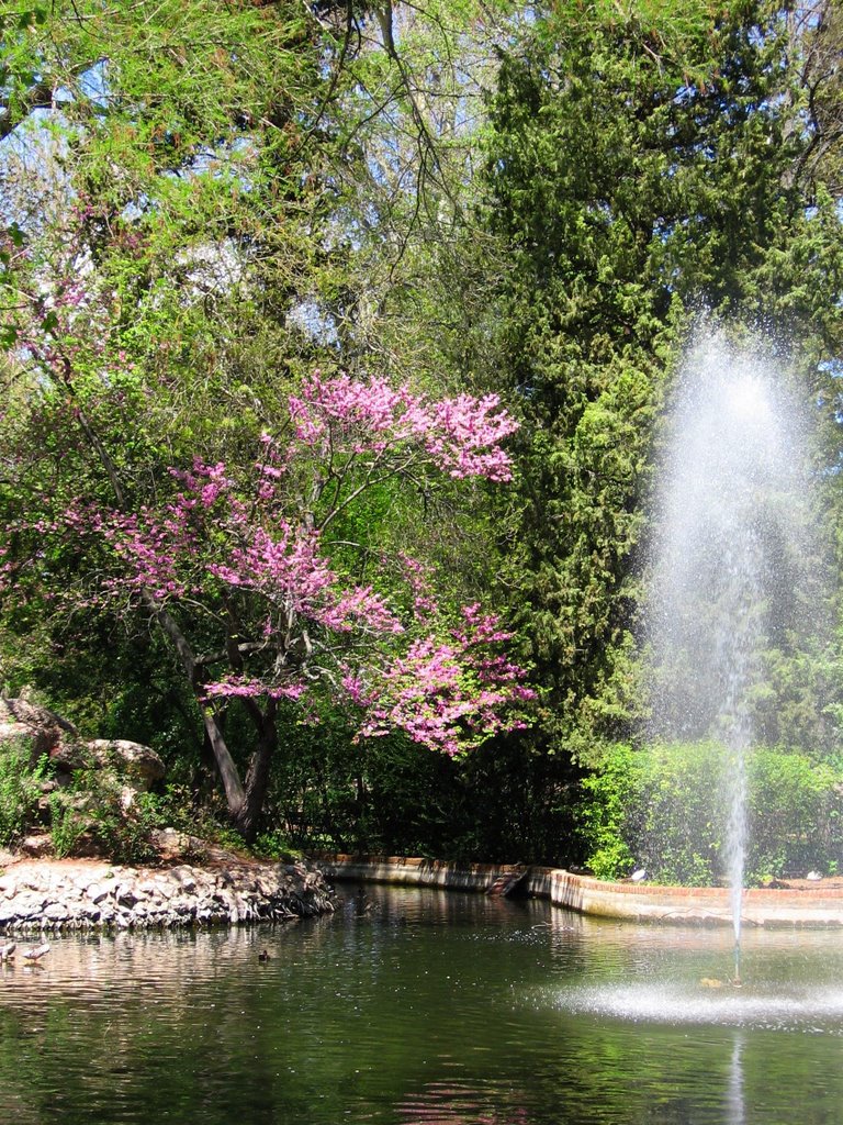 Chinescos en primavera - Aranjuez by isol