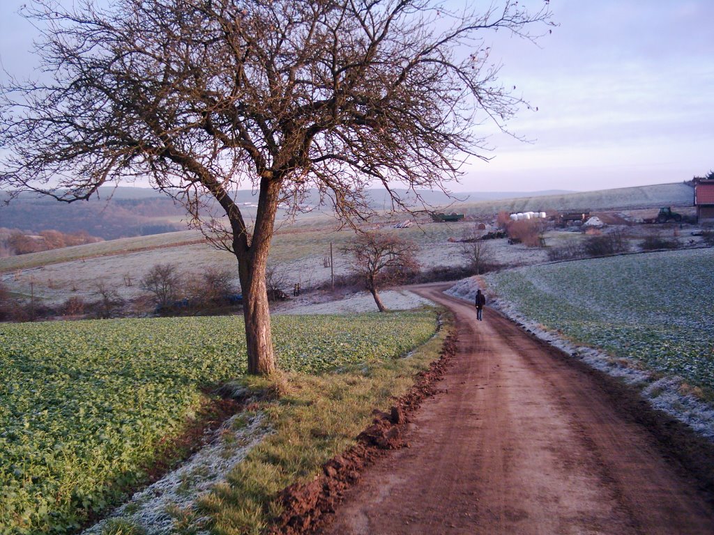 Feldweg, vor dem Rathsbacher Hof by dieter koester