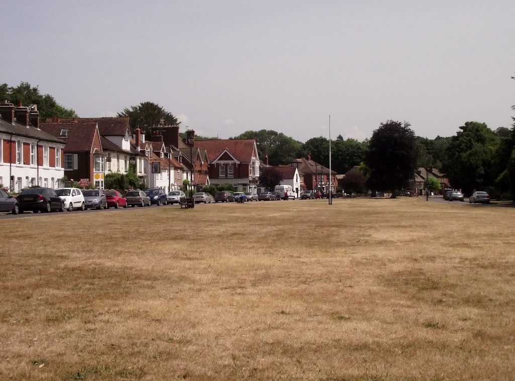 Rowlands Castle Green by tonywatson