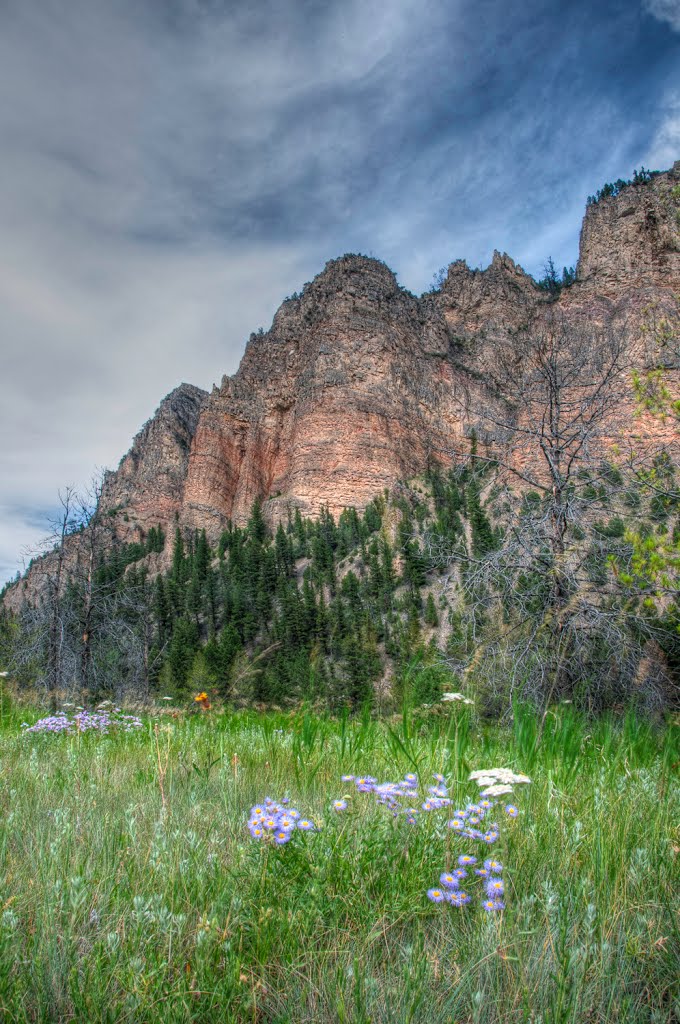 Near Gallatin River by johnprosek