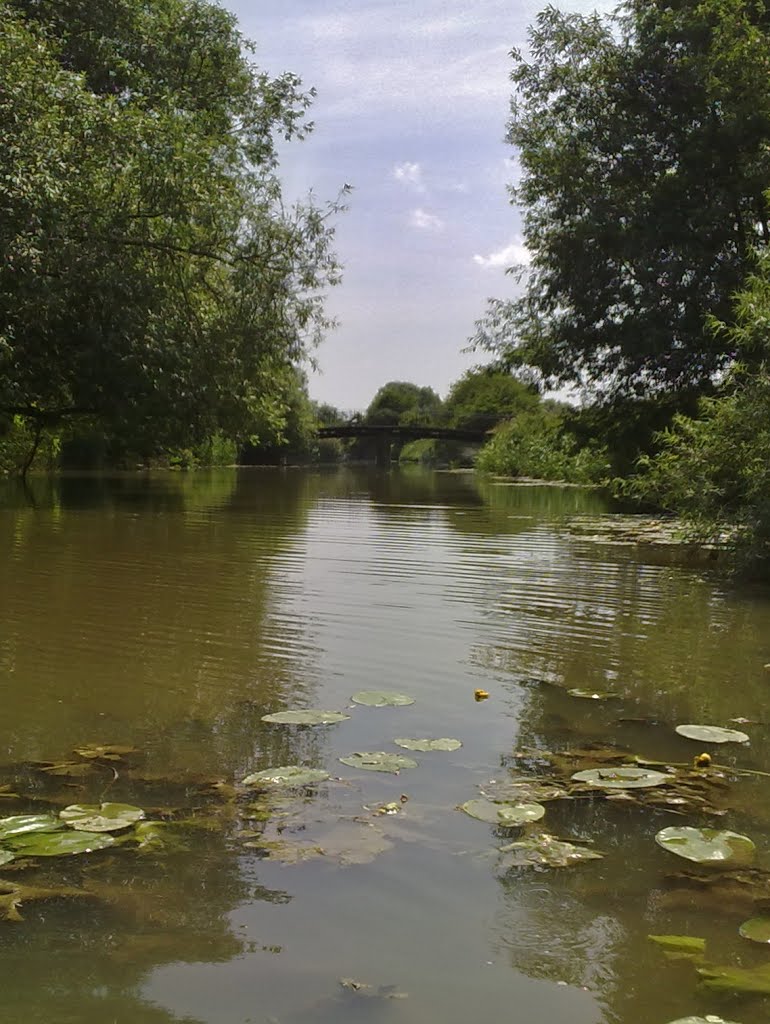 Cherwell- Sparsey Bridge in distance by RobBobTun