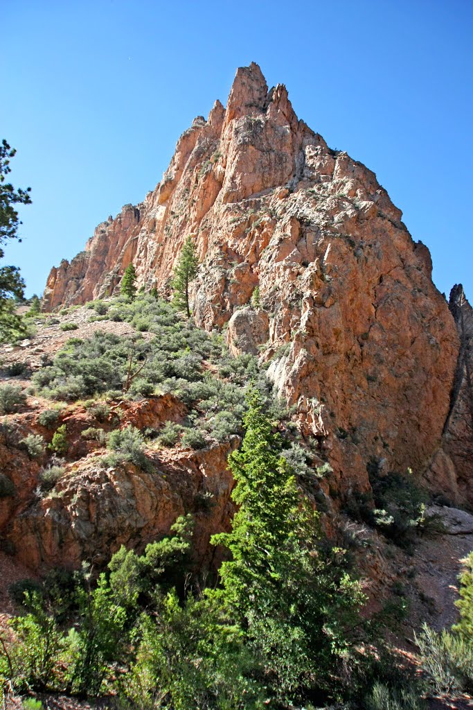 Sheep Creek Canyon by ea1494