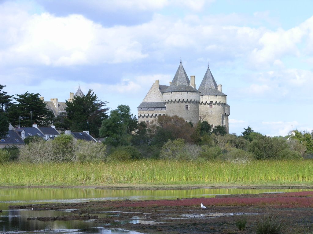 Le château de Suscinio derrière les marais by François Madic