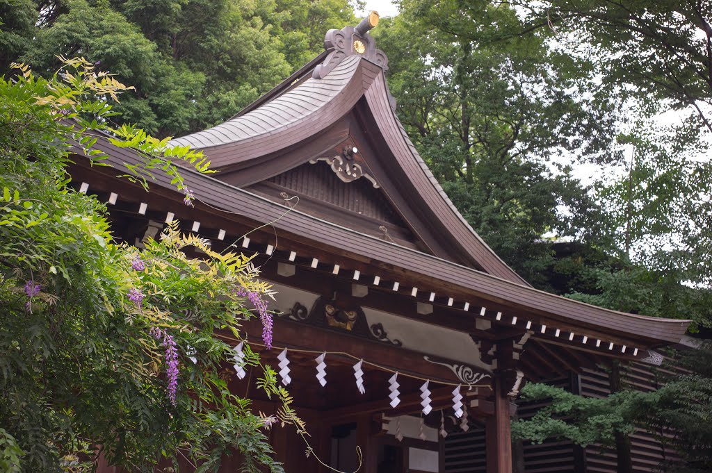 Ookunitama Shrine, Plum Festival / 大國魂神社: 神楽殿 by Kangoo_