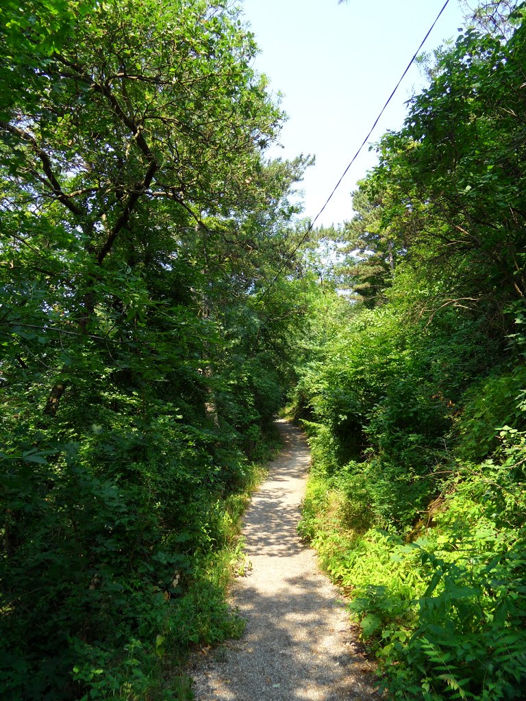 Hainburg an der Donau, Wanderweg by lorant.orban