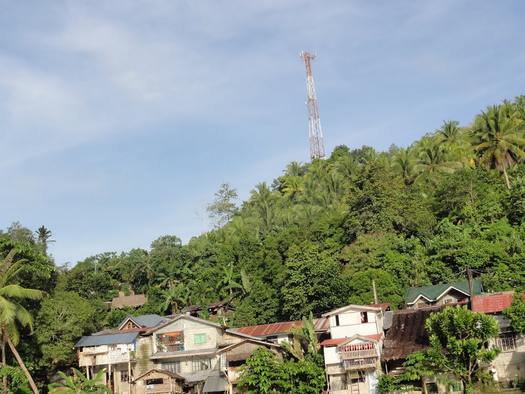 The communication Tower that can reach far into the jungle ! by gridjumper2000