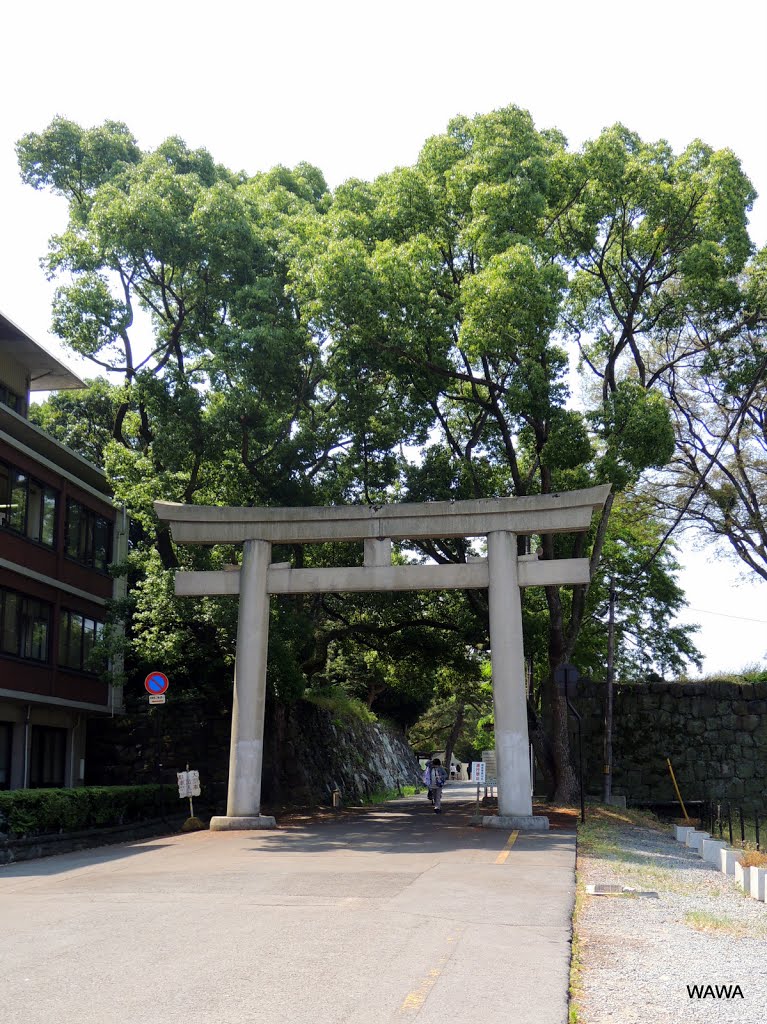 護国神社 by mandegan