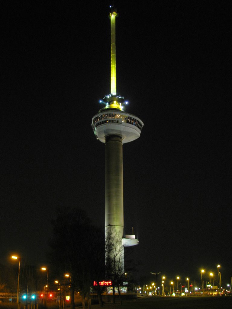 A view to Euromast by DMike