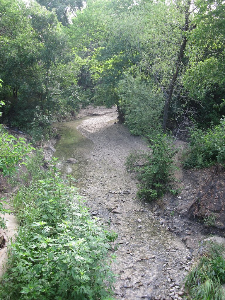 Creek seen from foot bridge on Arbor Hills Trail by Ref Tom Green