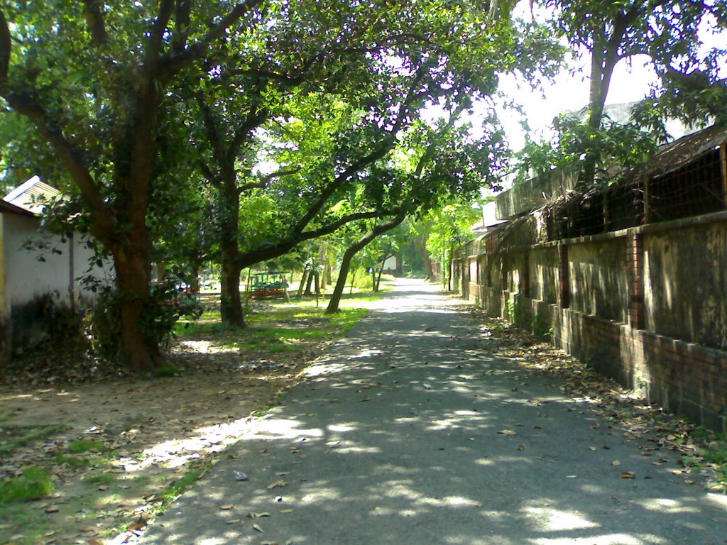 Charukola Institute (Open Campus) by Anindya1729