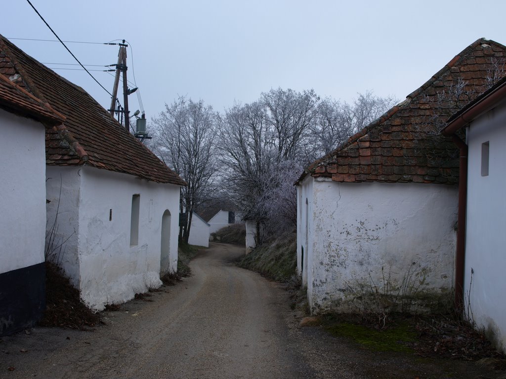 Öhlberg Kellergasse by Bernie Mayer