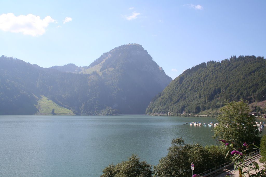 Lake of Wägeetal by willy waser