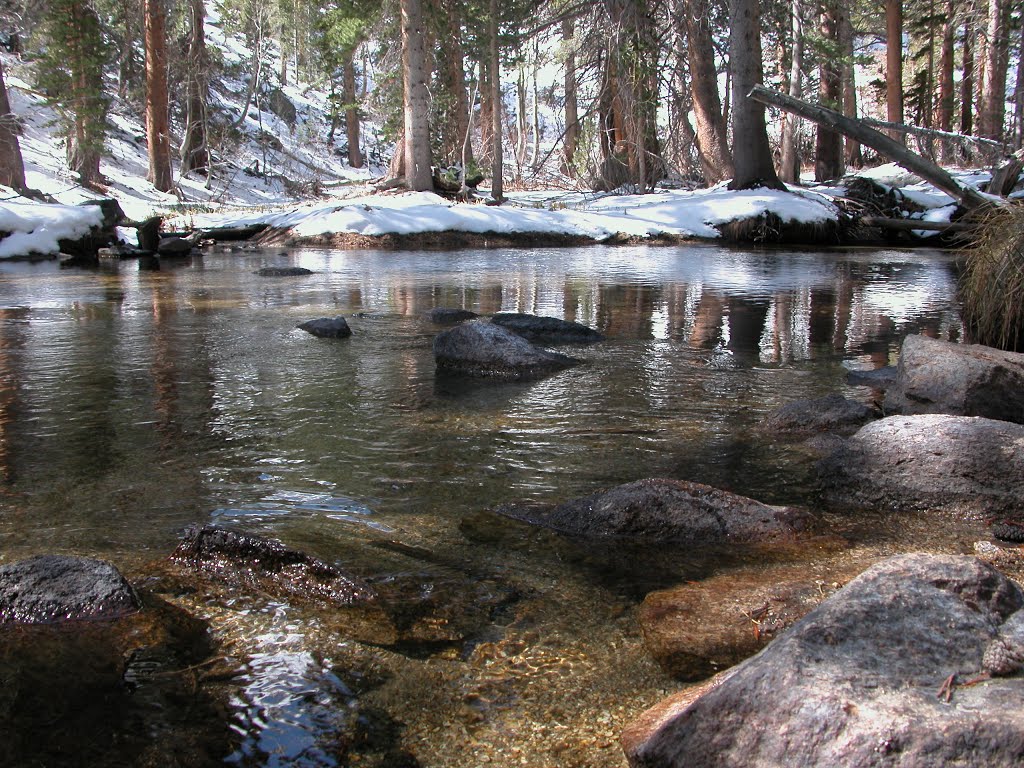 Big Pine Creek near Chaney Cabin, April 2007 by jfb619