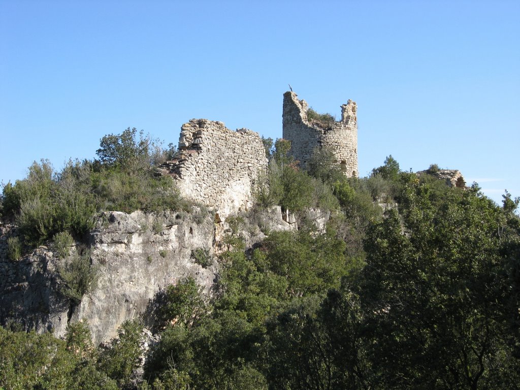 Torre de Pinyana desde el senderó by Joel Marimon Bonet