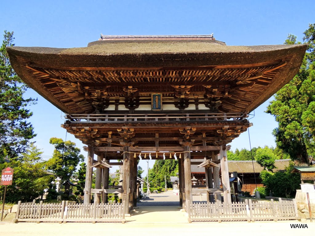 苗村神社の楼門（15世紀頃の作　三間社一戸楼門入母屋造） by mandegan