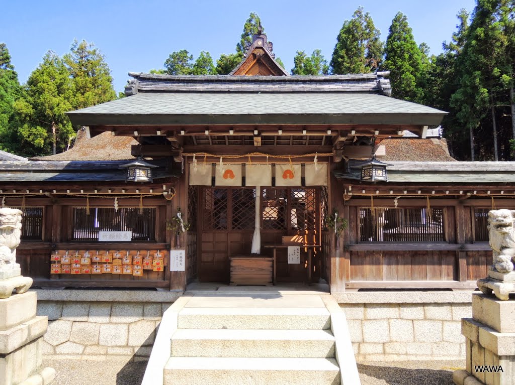 苗村神社（西本殿）　1308年再建 by mandegan