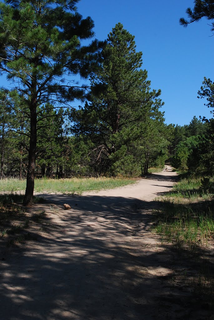 Sunshine Trail by coloradojak - Keep Panoramio Alive