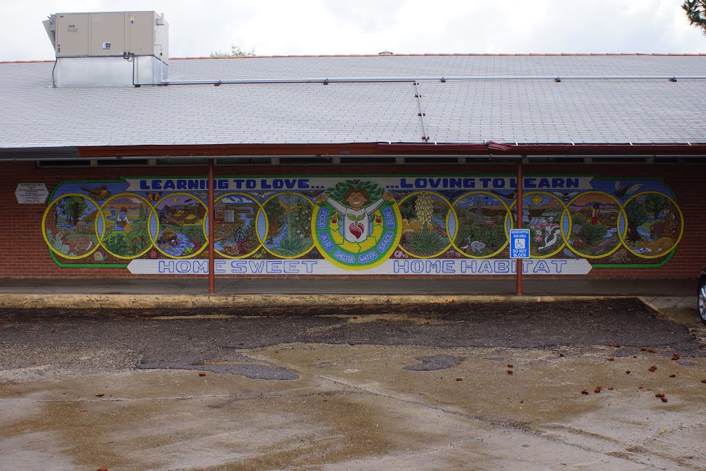 2013, Local Ecology Mural, Miller Valley Elementary School, Prescott, AZ by tceng