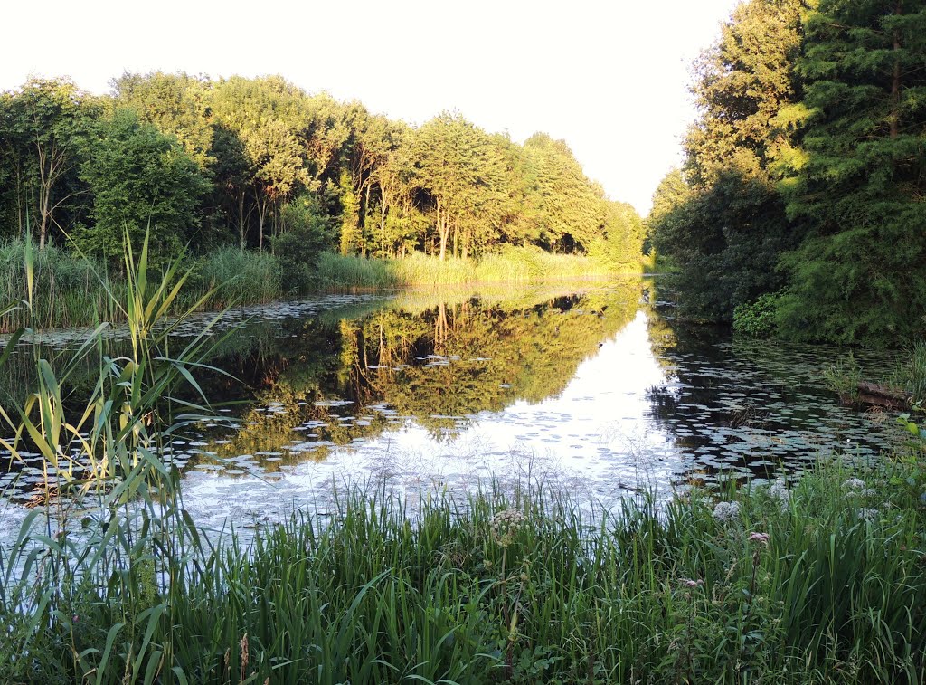 Oude IJssel, Laag-Keppel Gelderland. by Ria Wentink