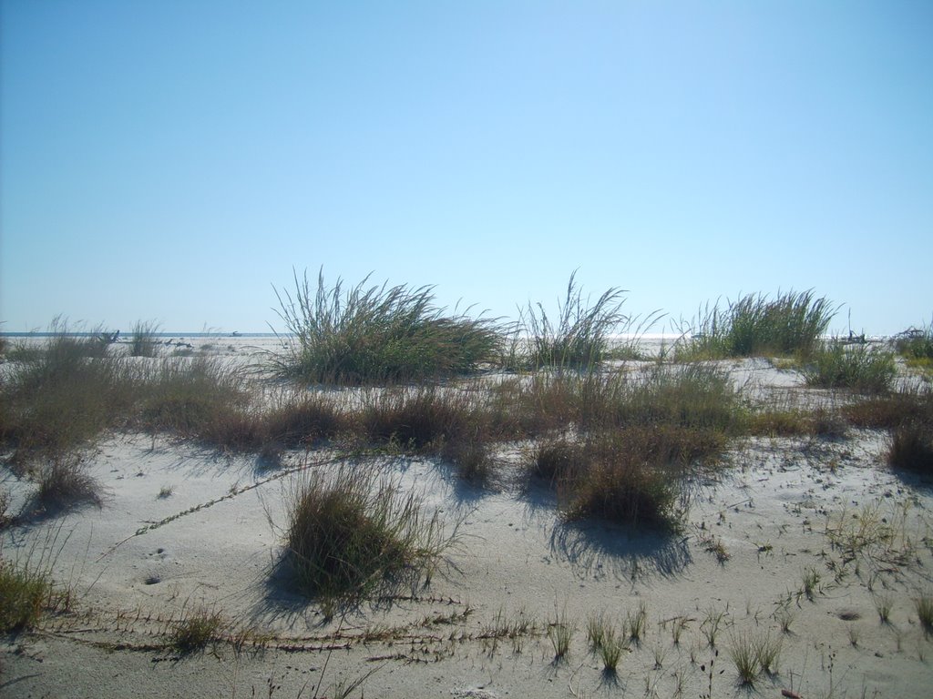 Horn island mississippi by zacharystewart