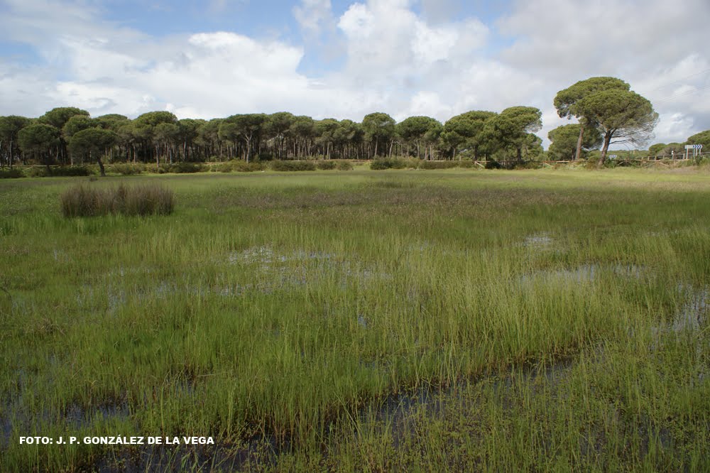 LAGUNA DEL AGUILA by latasti