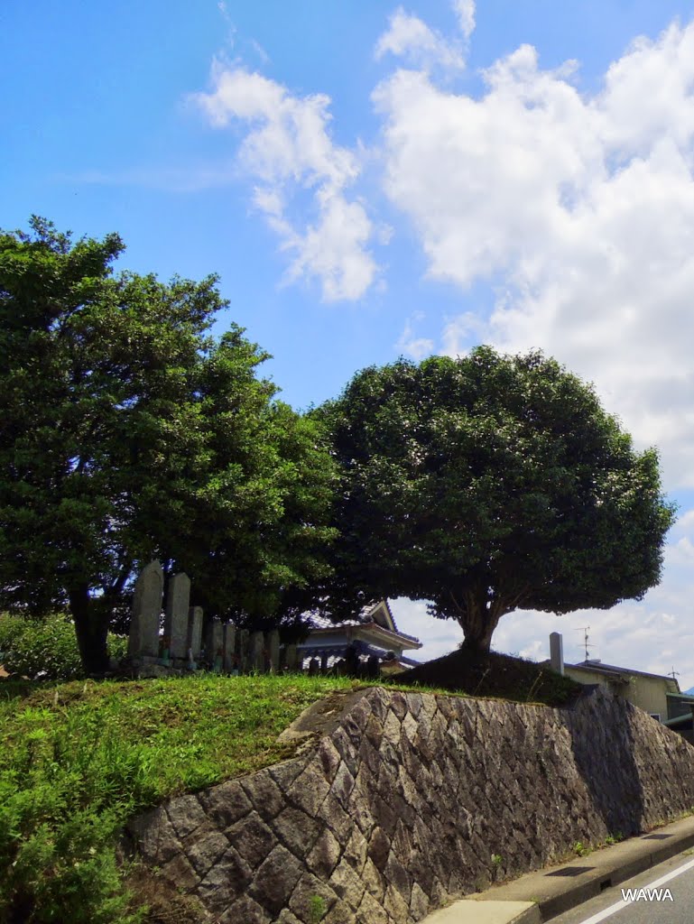 三在町北交差点（奈良県五條市） by mandegan