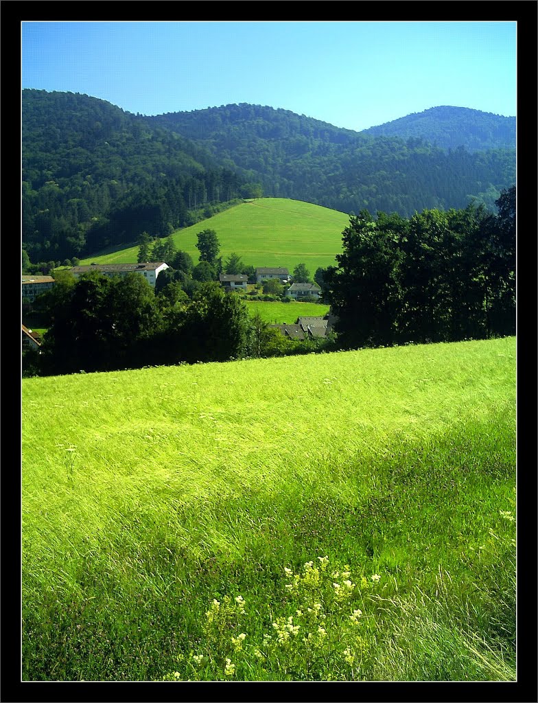 July Glotter Creek Summertime - Master Mythos Black Forest Photography 2013 Schwarzwald Color by jettcom