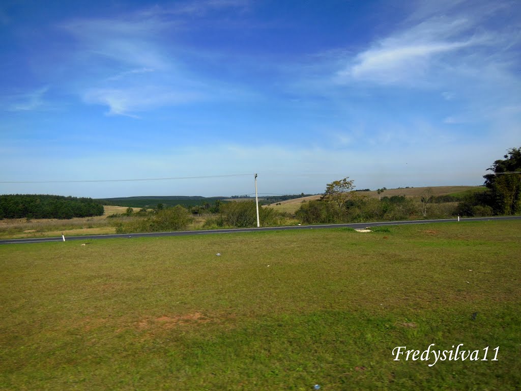 Rodovia Federal BR-386,trecho:Nova Santa Rita-RS,Brasil. by fredysilva11