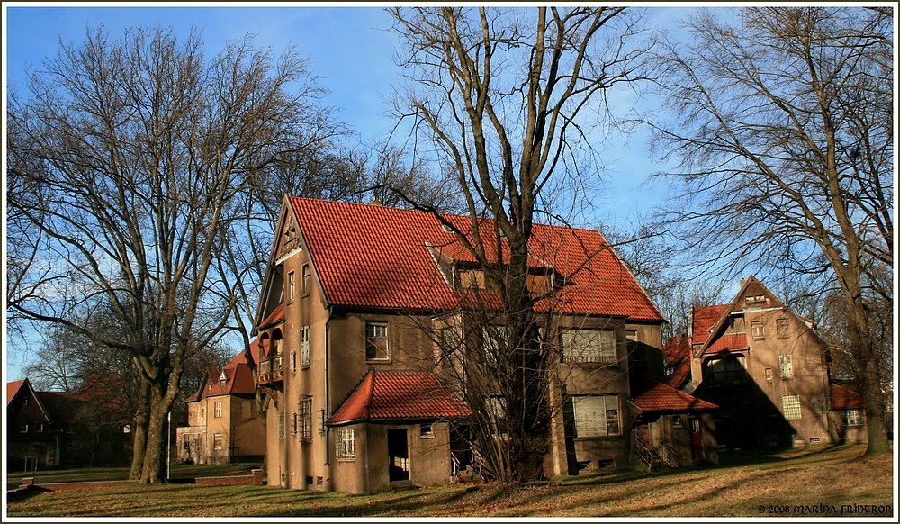 Forgotten Places - Villen-Kolonie Bliersheim in Duisburg by Marina Frintrop