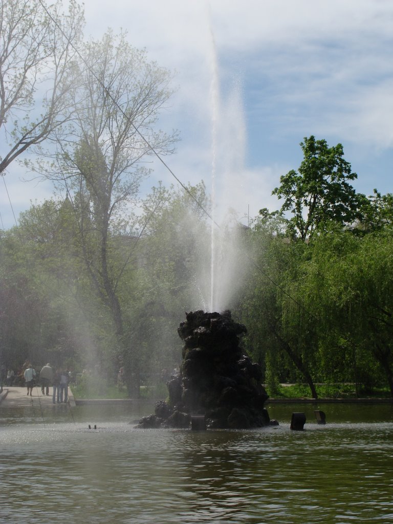 Cismigiu Fountain 08 by bogdanpopey