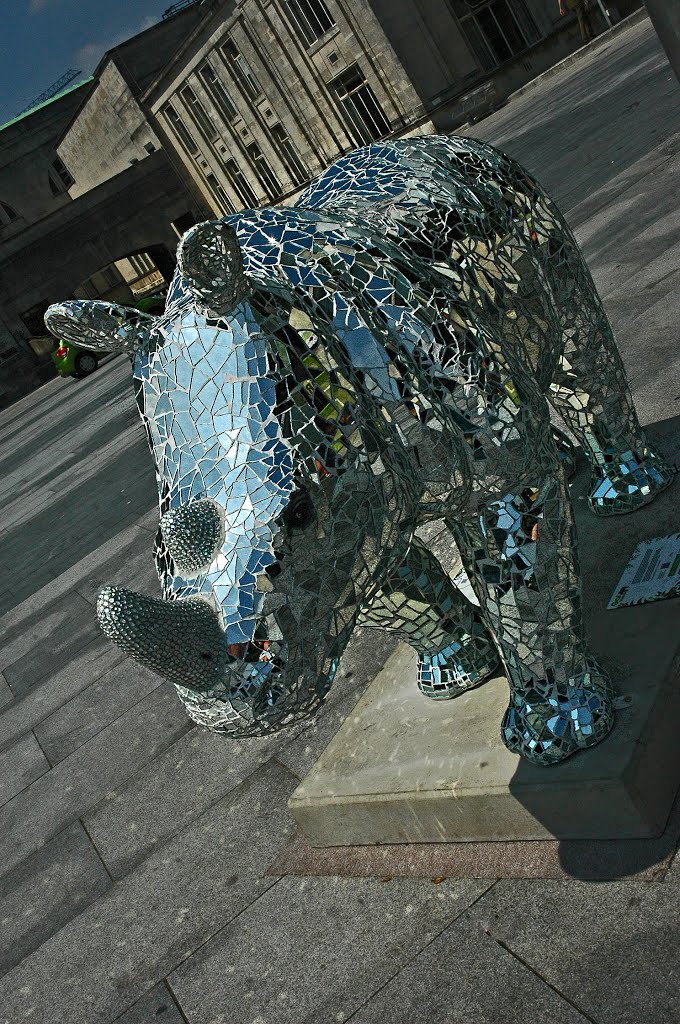 Rhino sculpture by the Civic Centre, Southampton by Bressons_Puddle