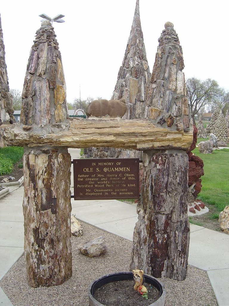 Petrified Wood Park- Lemmon SD by kevystew