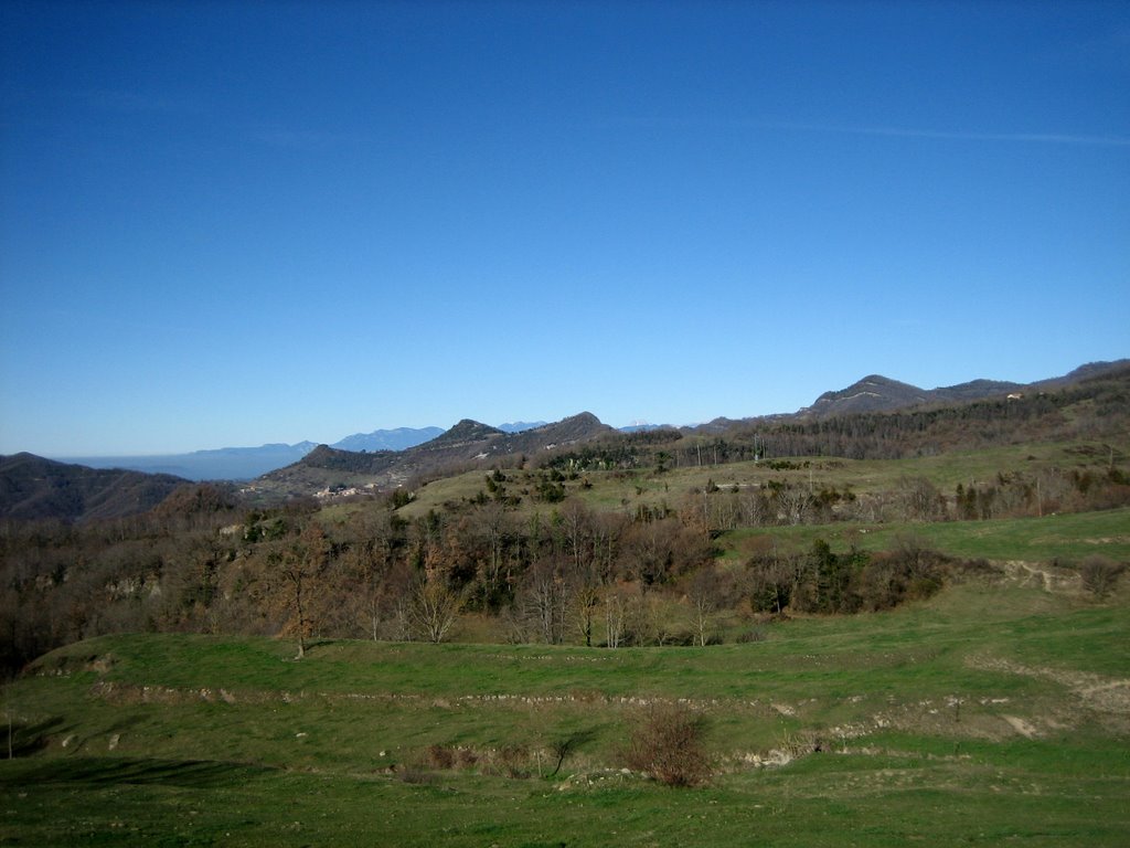 Vistes dels Pirineus by Josep Valenti