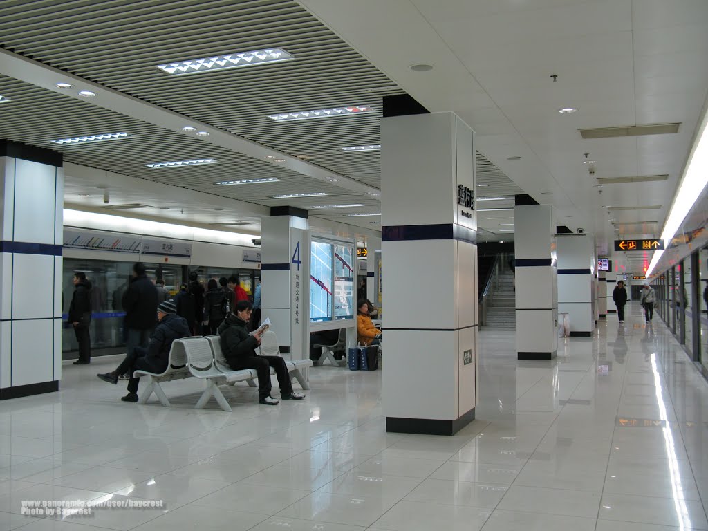 蓝村路站 4号线站台 Line 4 Platform of Lancun Road Station, Shanghai Metro by Baycrest